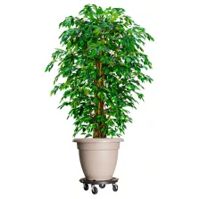   vidaXL fekete 40 cm átmérőjű növénytartó kerekekkel 275 kg