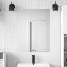 vidaXL Tükörfólia 2 pcs Ezüst PET