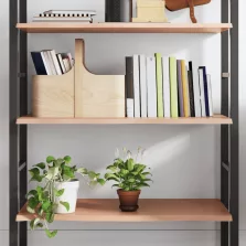   vidaXL világosbarna kezelt tömör tölgyfa fali polc 80x50x2 cm