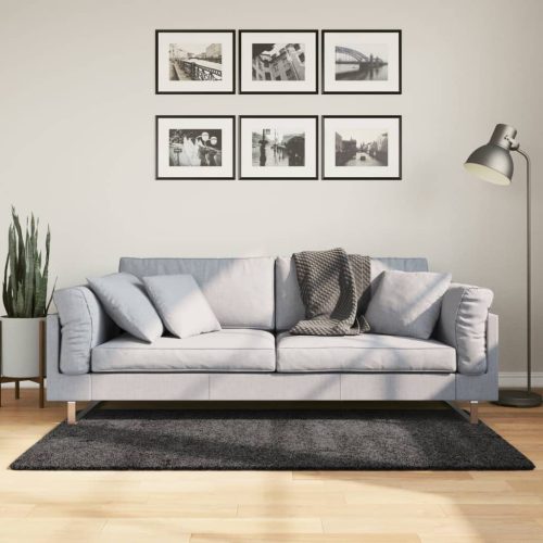 vidaXL atracitszürke hosszú szálú bozontos modern szőnyeg 120 x 170 cm