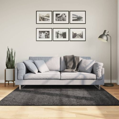 vidaXL atracitszürke hosszú szálú bozontos modern szőnyeg 160 x 160 cm