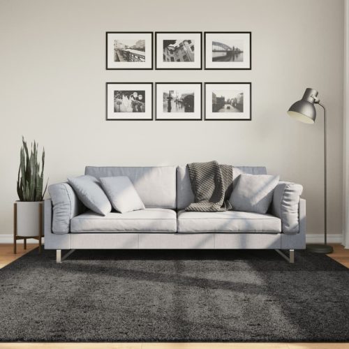 vidaXL atracitszürke hosszú szálú bozontos modern szőnyeg 200 x 200 cm