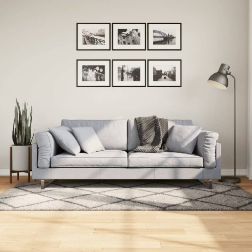 vidaXL bézs és antracit hosszú szálú bozontos modern szőnyeg 100x200cm