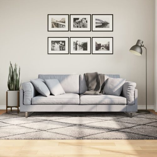 vidaXL bézs és antracit hosszú szálú bozontos modern szőnyeg 160x230cm