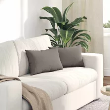 vidaXL Kanapé párnák 2 pcs Tópszínű 50 x 30 cm szövet