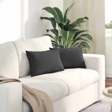   vidaXL Kanapé párnák 2 pcs Sötétszürke 50 x 30 cm Bársonyos szövet