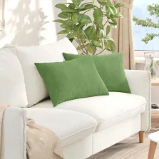   vidaXL Kanapé párnák 2 pcs Világos zöld 60 x 40 cm Bársonyos szövet