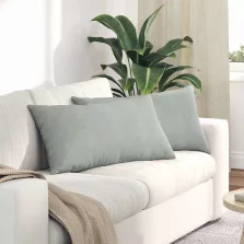   vidaXL Kanapé párnák 2 pcs Világosszürke 80 x 40 cm Bársonyos szövet