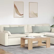   vidaXL Kanapé párnák 2 pcs Világosszürke 120 x 40 cm Bársonyos szövet