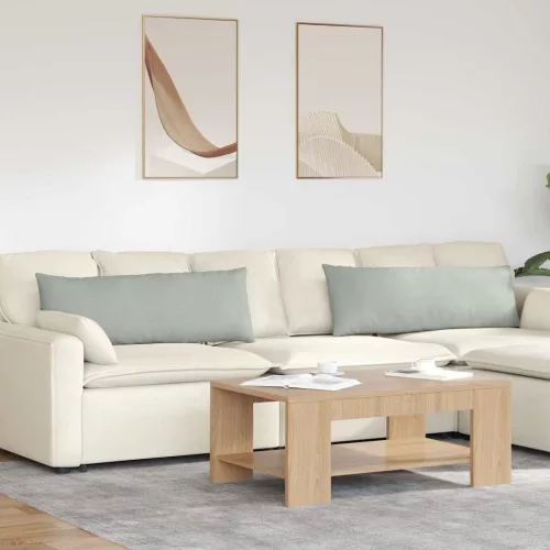 vidaXL Kanapé párnák 2 pcs Világosszürke 120 x 40 cm Bársonyos szövet