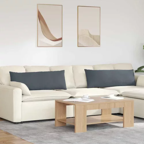 vidaXL Kanapé párnák 2 pcs Sötétszürke 120 x 40 cm Bársonyos szövet