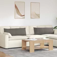   vidaXL Kanapé párnák 2 pcs Világosszürke 120 x 40 cm Bársonyos szövet