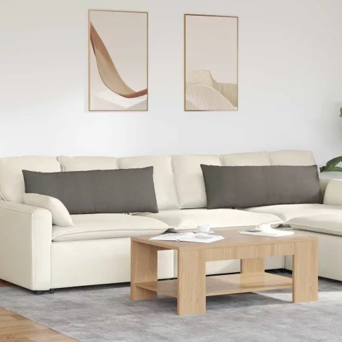vidaXL Kanapé párnák 2 pcs Világosszürke 120 x 40 cm Bársonyos szövet