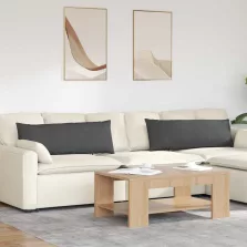   vidaXL Kanapé párnák 2 pcs Sötétszürke 120 x 40 cm Bársonyos szövet
