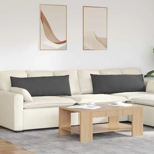 vidaXL Kanapé párnák 2 pcs Sötétszürke 120 x 40 cm Bársonyos szövet