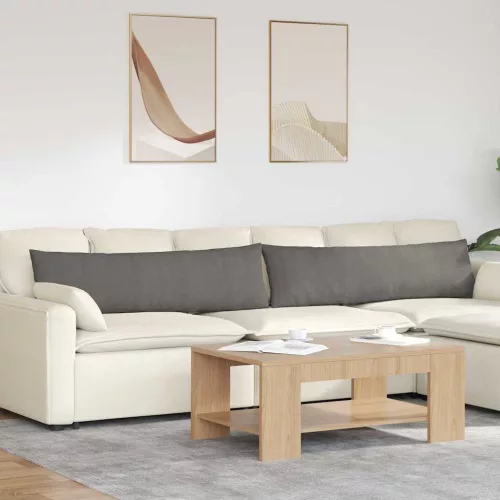 vidaXL Kanapé párnák 2 pcs Világosszürke 145 x 40 cm Bársonyos szövet
