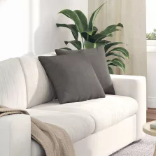   vidaXL Kanapé párnák 2 pcs Világosszürke 45 x 45 cm Bársonyos szövet