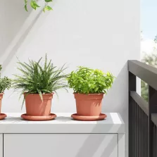   vidaXL Kerek Virágcserép 6 pcs Tégla Vörös Ø 12,5 x 10 cm Műanyag