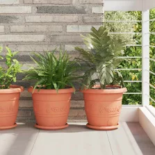   vidaXL Kerek Virág Tálca 24 pcs Tégla Vörös Ø 21,5 x 2,5 cm Műanyag