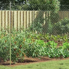 vidaXL Láncszem Kerítés Horganyzott 2 x 10 m Üveg