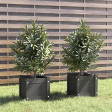   vidaXL 2 db szürke tömör fenyőfa kerti virágtartó 31 x 31 x 31 cm