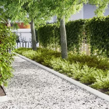 vidaXL Fűszegélyezés 10 pcs Fehér 100 x 0.05 x 20 cm