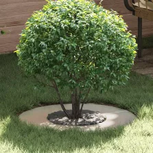   vidaXL Alkalmas lapos fa gyűrűhöz Ezüst Ø30 / 60 cm Rozsdamentes acél