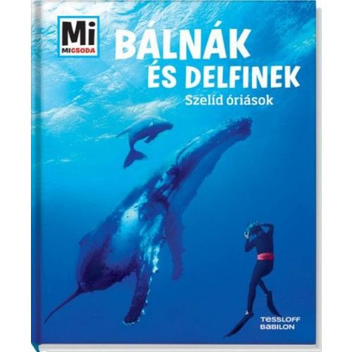 Bálnák és delfinek