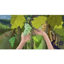 Borsi szüretel (Ringató) - Diafilm