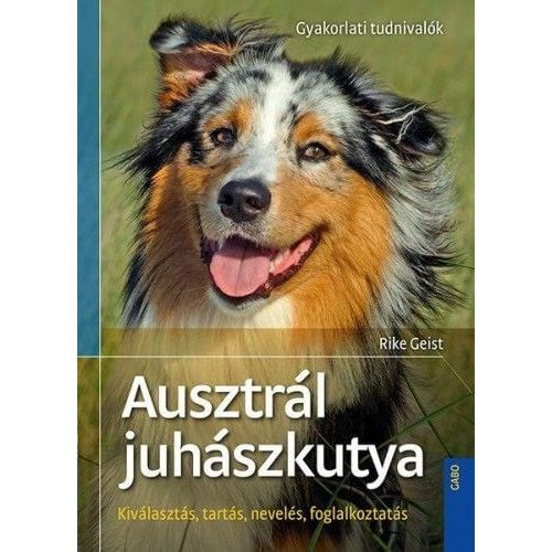 Ausztrál juhászkutya