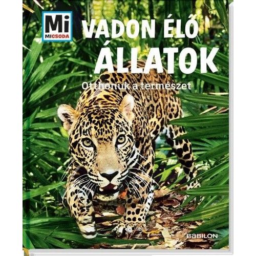 Vadon élő állatok - Otthonuk a természet