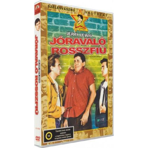 Jóravaló rosszfiú - DVD