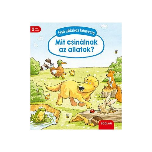Első ablakos könyvem - Mit csinálnak az állatok?
