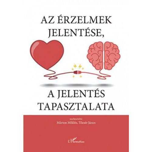 Az érzelmek jelentése, a jelentés tapasztalata