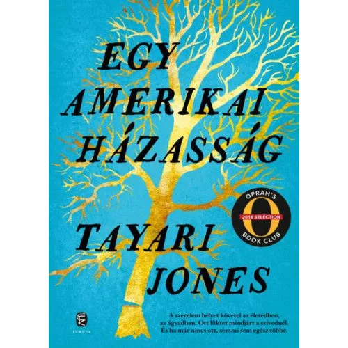 Egy amerikai házasság