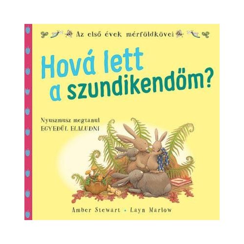 Hová lett a szundikendőm?