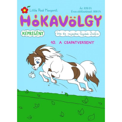 Hókavölgy 10. - A csapatverseny