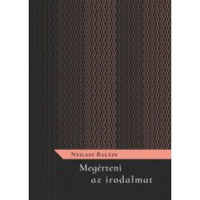 Megérteni az irodalmat