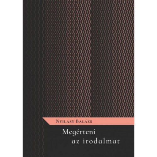 Megérteni az irodalmat