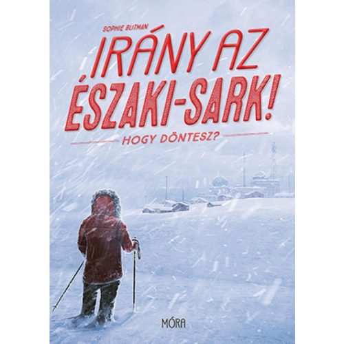 Irány az Északi-sark! Hogy döntesz?