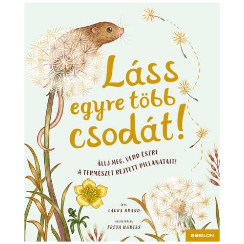 Láss egyre több csodát!