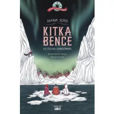 Kitka Bence az északi sarkkörnél