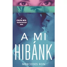 A mi hibánk