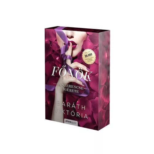 A szerencse ígérete - A főnök 3. - Éldekorált kiadás