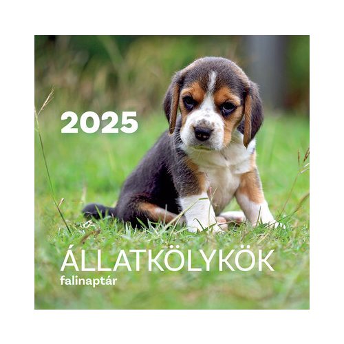 Állatkölykök
 falinaptár - 2025