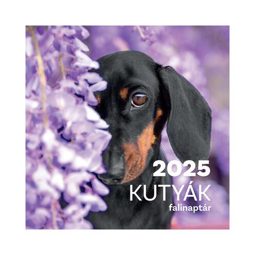Kutyák falinaptár - 2025