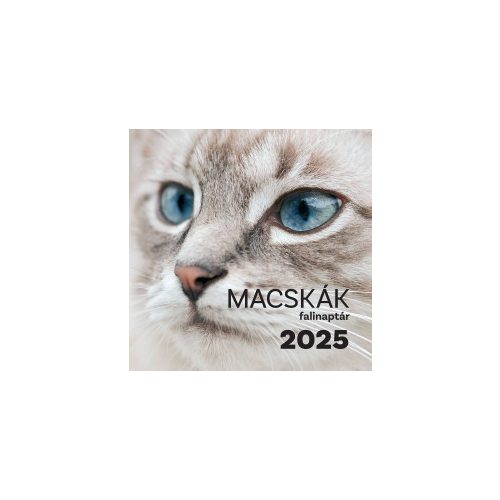 Macskák falinaptár - 2025