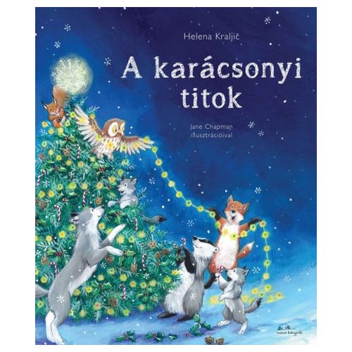 A karácsonyi titok