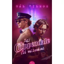 Egy Chippendale-fiú vallomásai