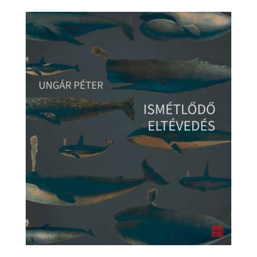 Ismétlődő eltévedés